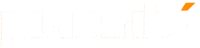 logo pitibiribá laranja